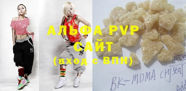 индика Баксан