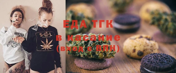 индика Баксан