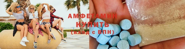 индика Баксан