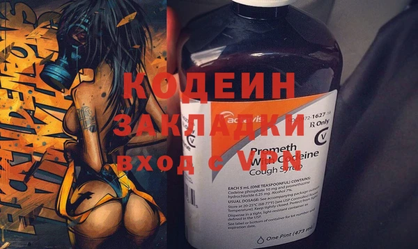 индика Баксан