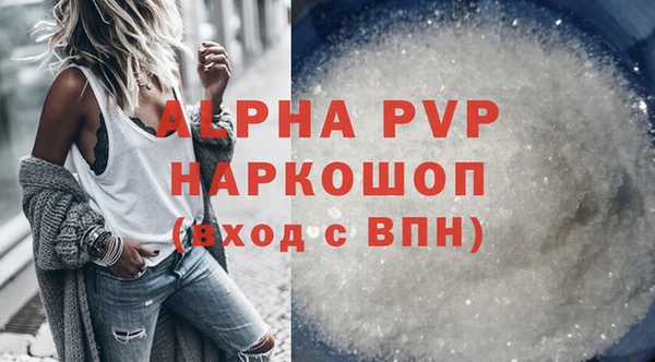 индика Баксан