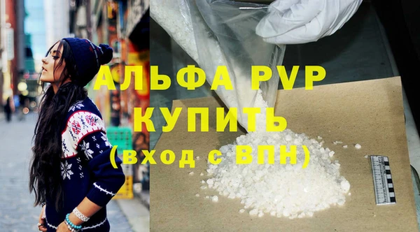 прущие грибы Балабаново