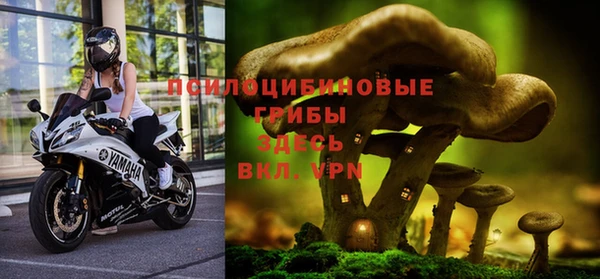 прущие грибы Балабаново