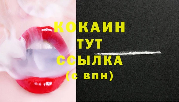 прущие грибы Балабаново